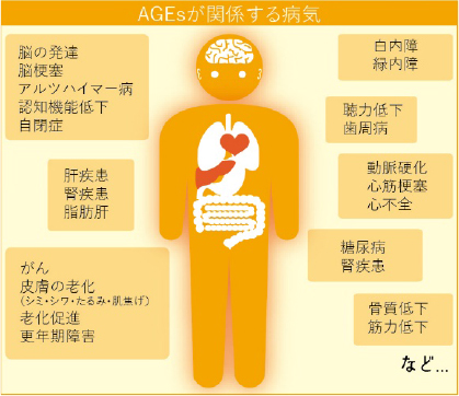 AGEsが関係する病気